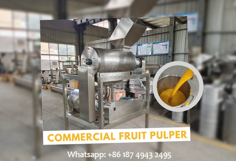 commercial mango juice machine