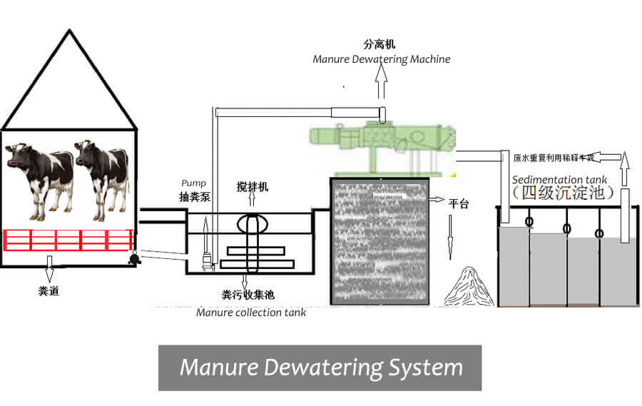 manure dewatering system